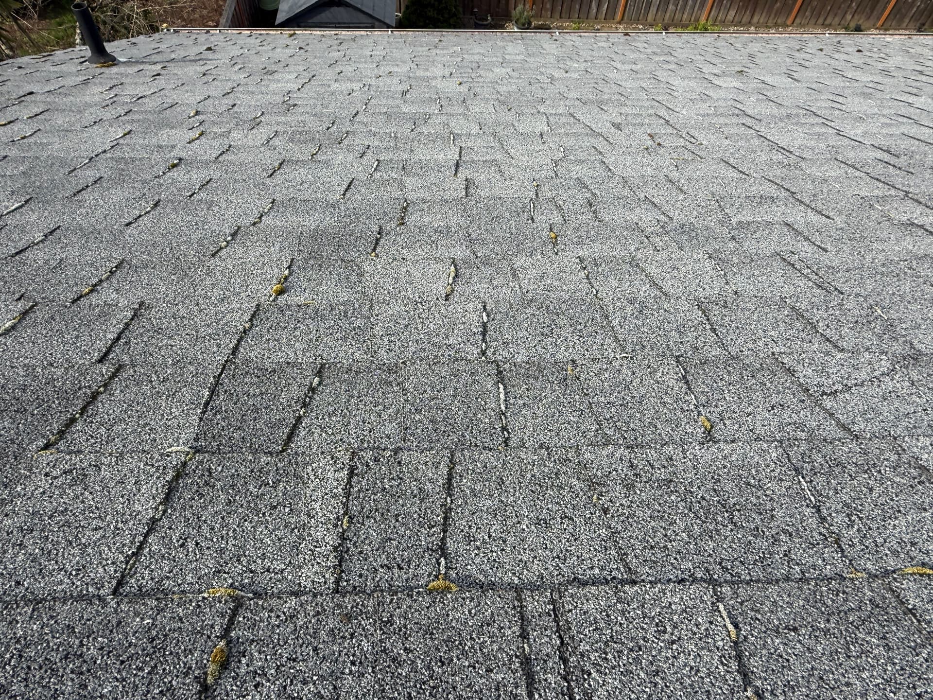 Moss-Free Roof Transformation in Newberg image