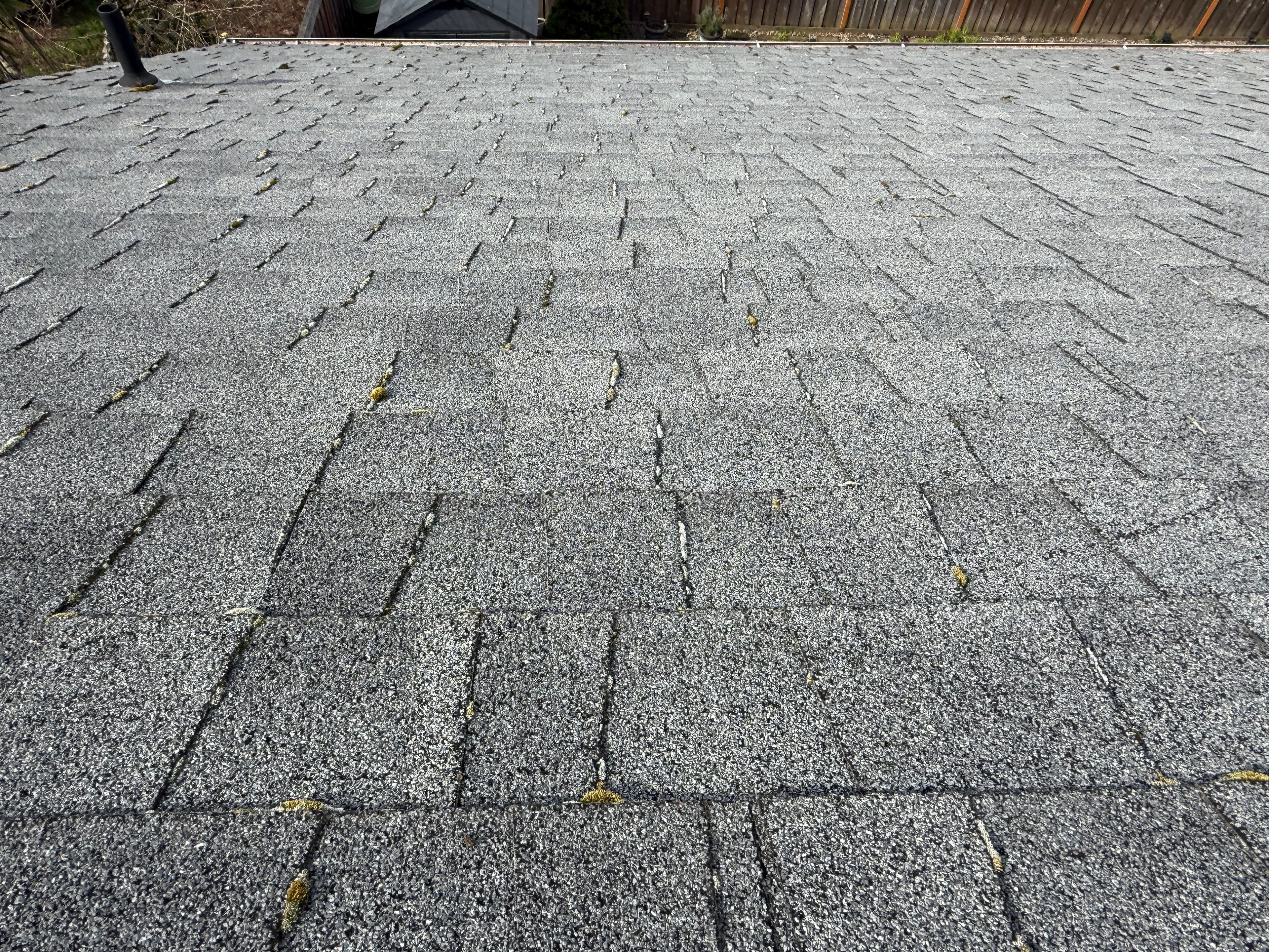 Project Moss-Free Roof Transformation in Newberg image