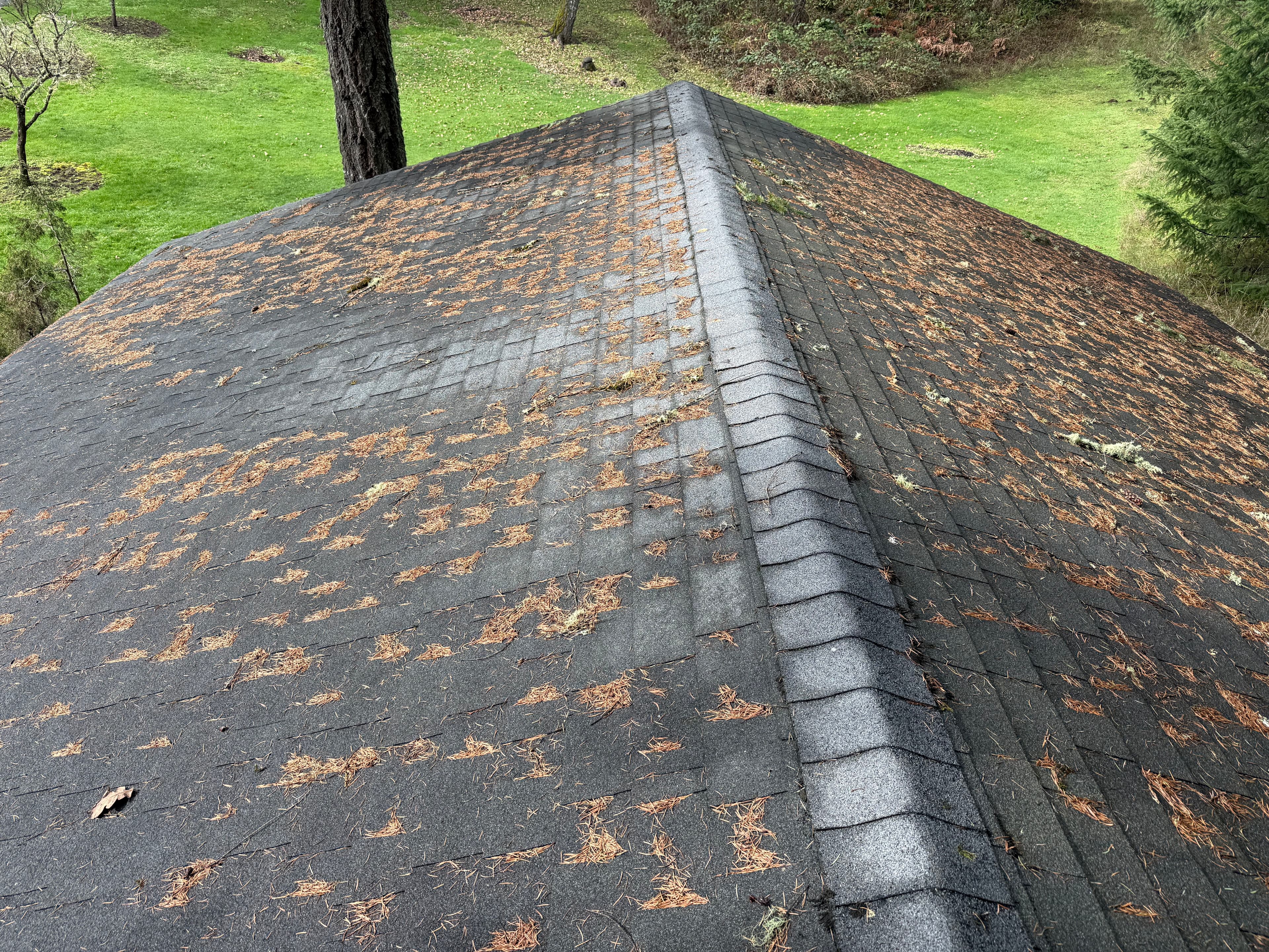 Project Debris-Free Roof and Pristine Pathways in McMinnville image