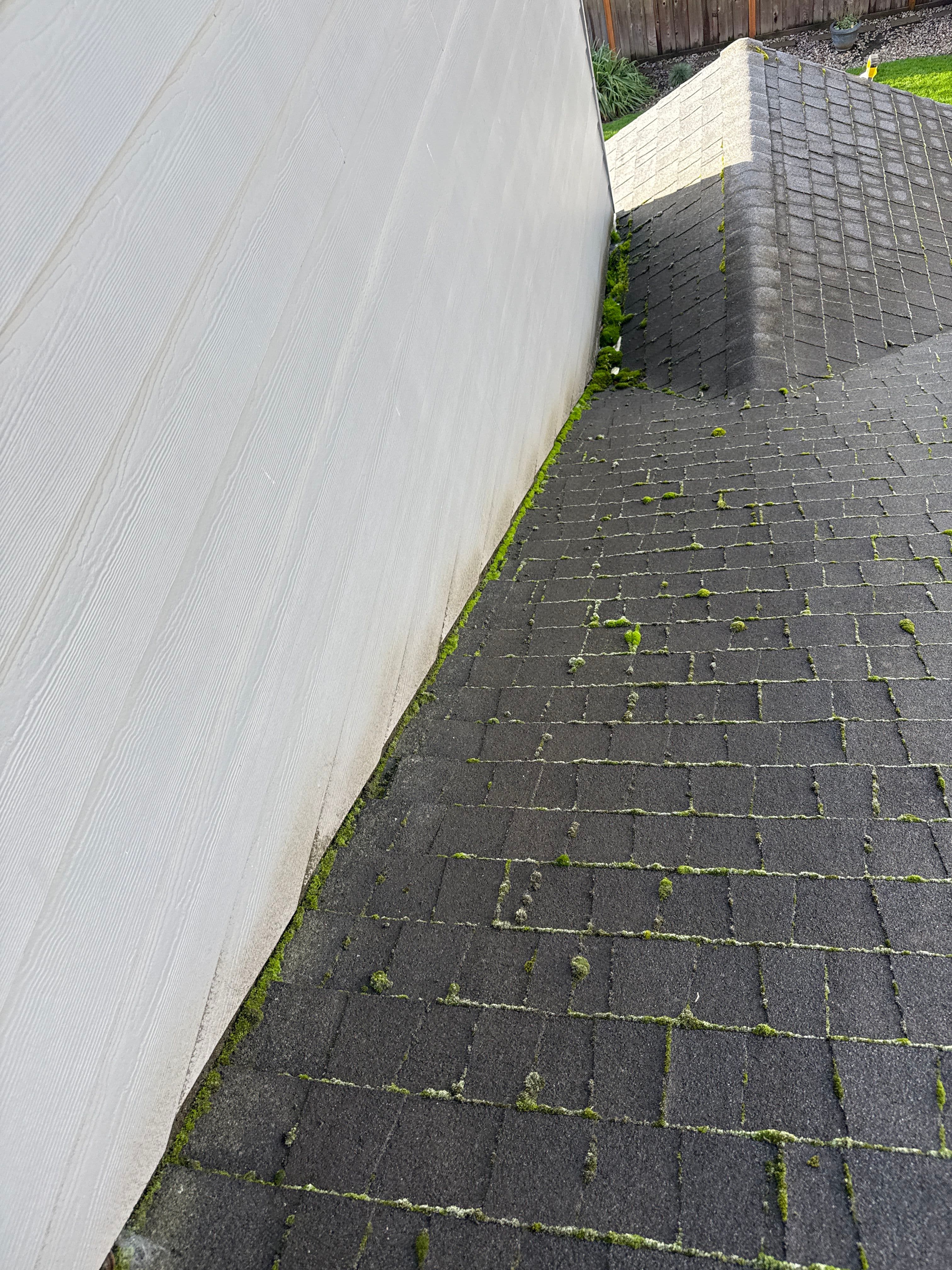 Project Roof Cleaning Services for a Healthier Home image