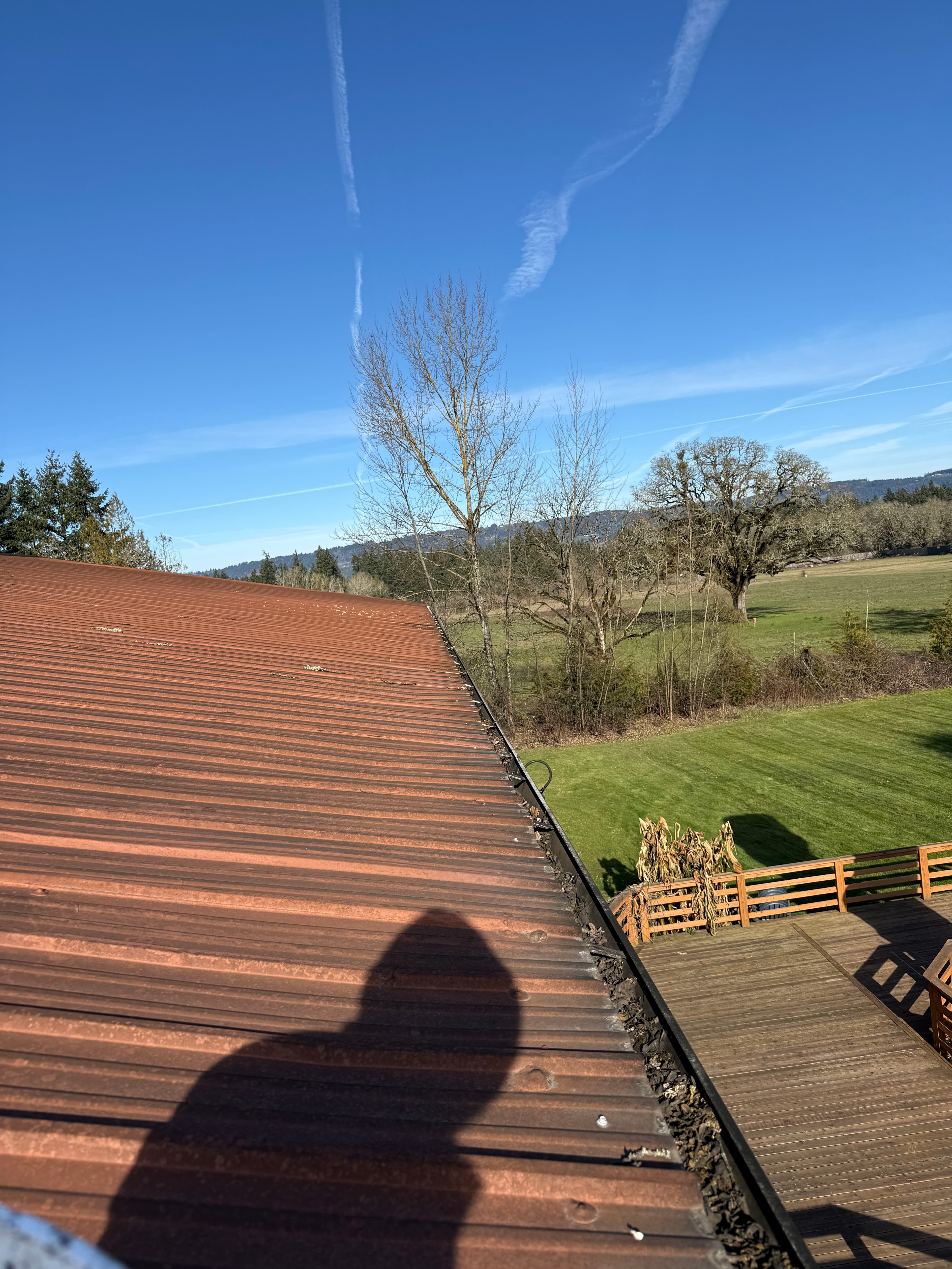 Project Gutter Clearing Success at Duck Pond Cellars image