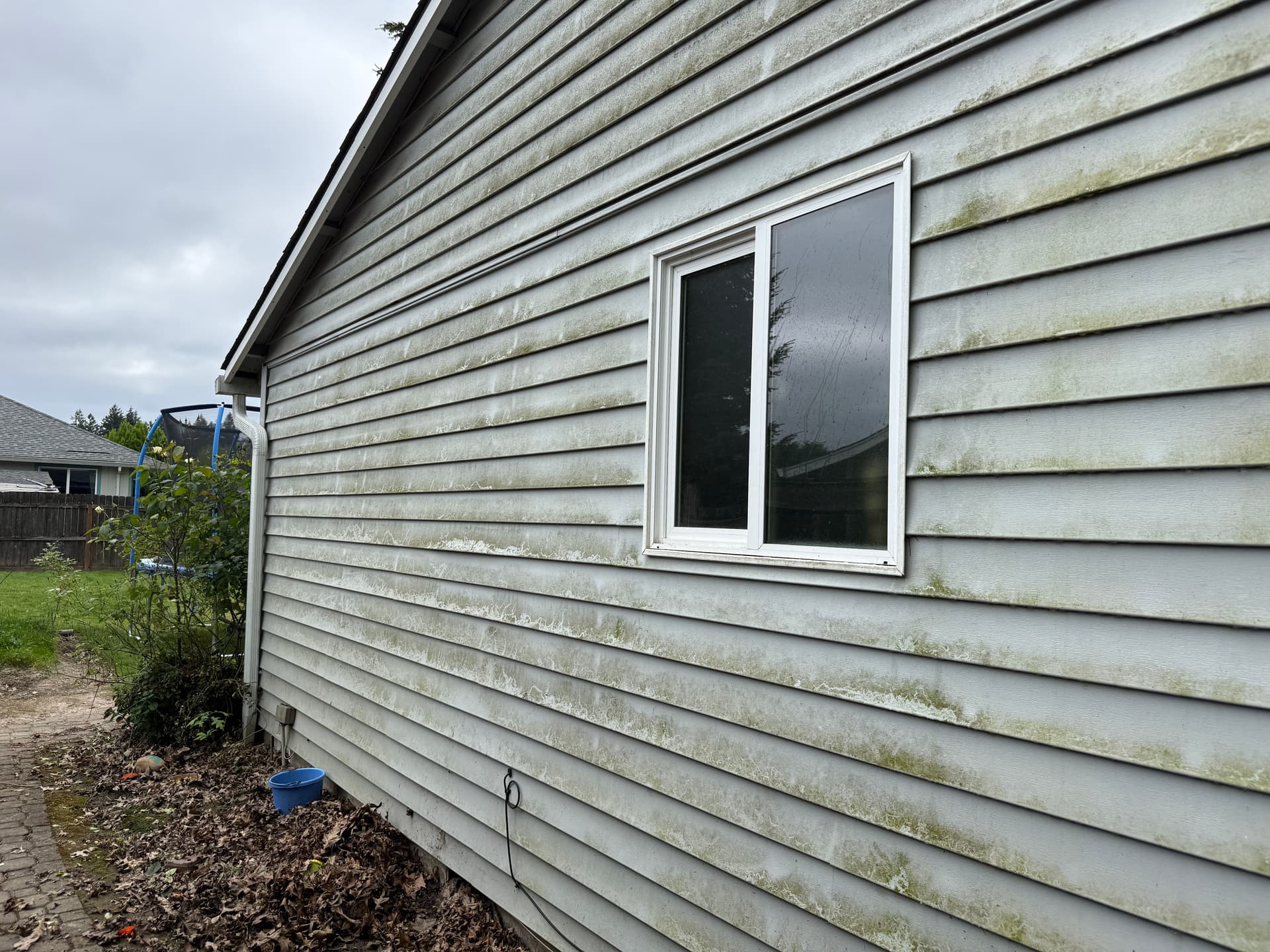 Soft Wash House Cleaning Wipes Out Algae and Mildew in McMinnville image