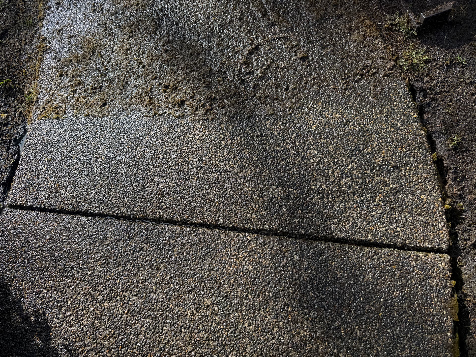 Gallery photos for Debris-Free Roof and Pristine Pathways in McMinnville: Image #3