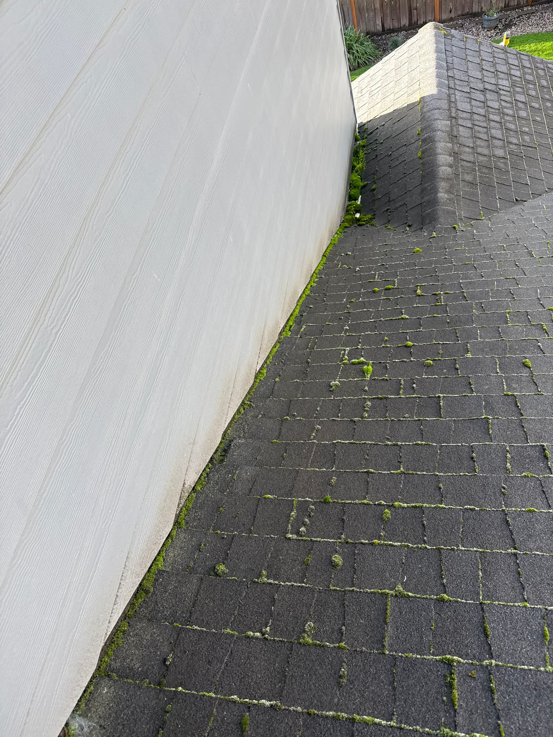 Roof Cleaning Services for a Healthier Home image