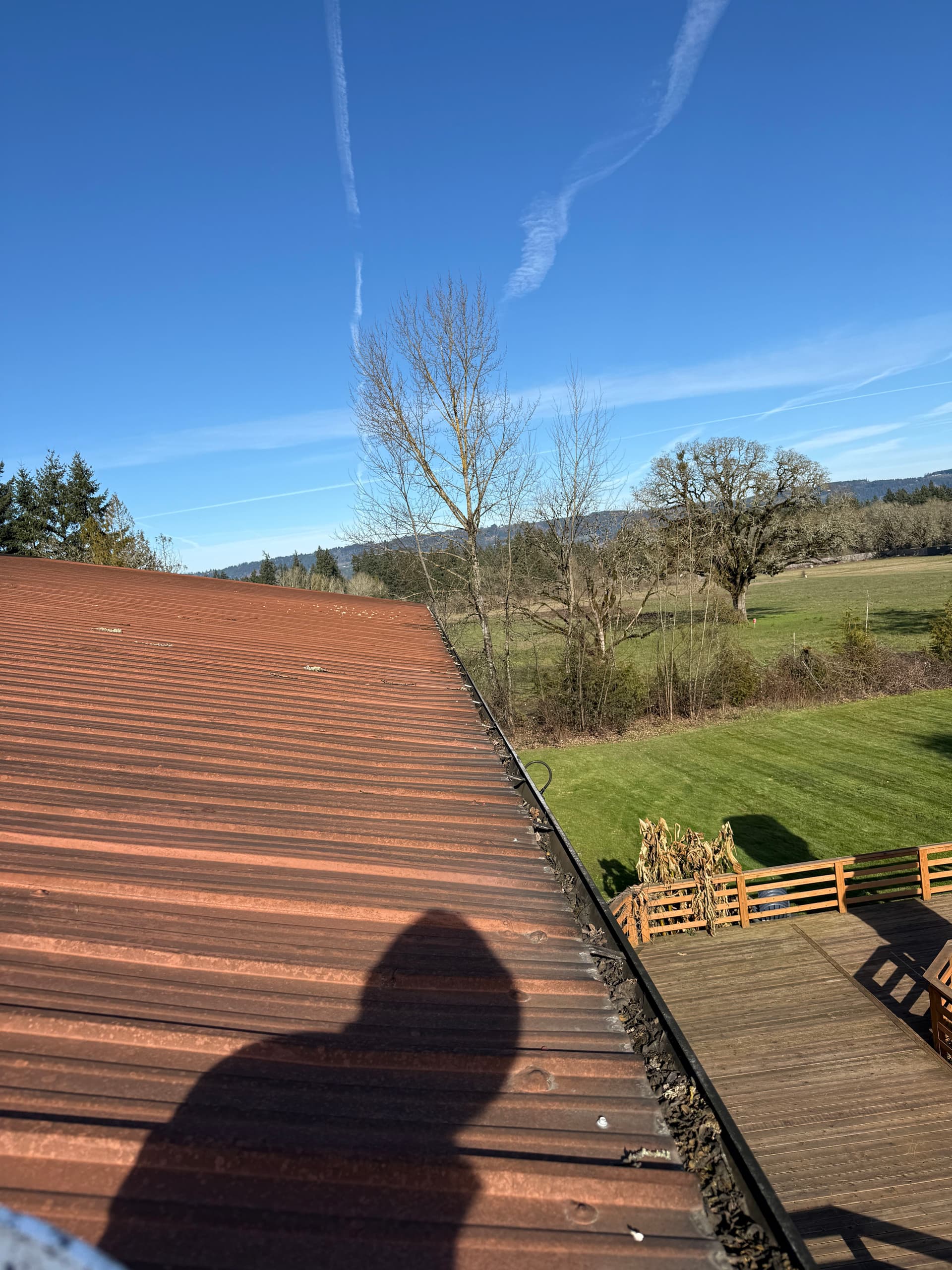 Gutter Clearing Success at Duck Pond Cellars image