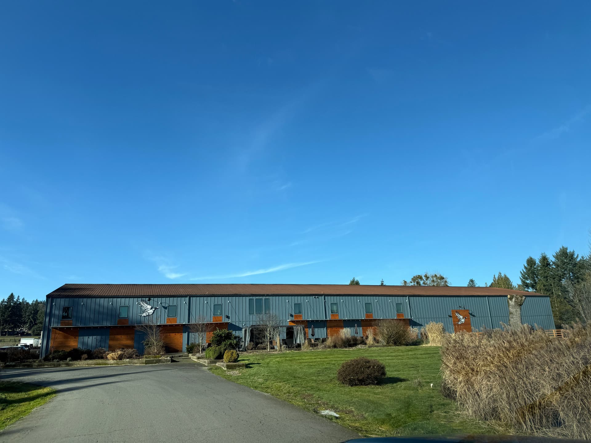 Gallery photos for Gutter Clearing Success at Duck Pond Cellars: Image #1