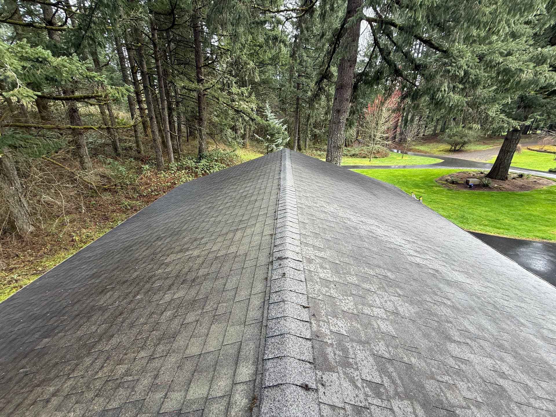 Gallery photos for Debris-Free Roof and Pristine Pathways in McMinnville: Image #1